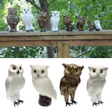 Maxbell 2pcs/set Artificial Owl Bird Feather Realistic Taxidermy Home Garden Decor