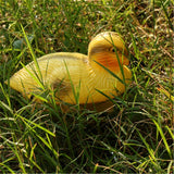 Maxbell Set of 3 Plastic Floating Swan & Duck Decoy for Hunting &Fishing Scarecrow