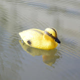 Maxbell 5Pcs Baby Duckings Floating Decoy Ducks Mallard Plastic Ornament Pond