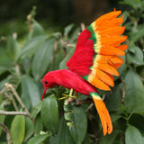 Maxbell Simulation Feathered Flying Birds Taxidermy Home Garden Decor Ornament red - Aladdin Shoppers
