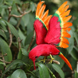Maxbell Simulation Feathered Flying Birds Taxidermy Home Garden Decor Ornament red - Aladdin Shoppers