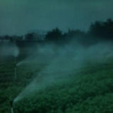 10Pcs Adjustable Watering Sprinkler Irrigation Garden Nozzle Equipment DN20