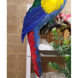 Maxbell Realistic Parrot Artificial Feather Bird Animal Ornament Garden Decor Red B - Aladdin Shoppers