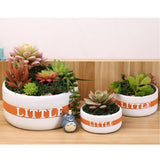 Maxbell Resin Round Flower Pot Garden Planter Herb Succulent Bonsai Holder M - Aladdin Shoppers