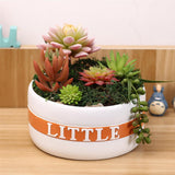 Maxbell Resin Round Flower Pot Garden Planter Herb Succulent Bonsai Holder M - Aladdin Shoppers