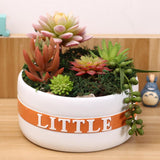 Maxbell Resin Round Flower Pot Garden Planter Herb Succulent Bonsai Holder M - Aladdin Shoppers