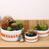 Maxbell Resin Round Flower Pot Garden Planter Herb Succulent Bonsai Holder S - Aladdin Shoppers