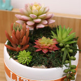 Maxbell Resin Round Flower Pot Garden Planter Herb Succulent Bonsai Holder S - Aladdin Shoppers