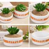 Maxbell Resin Round Flower Pot Garden Planter Herb Succulent Bonsai Holder S - Aladdin Shoppers