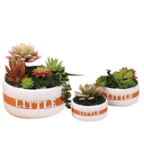 Maxbell Resin Round Flower Pot Garden Planter Herb Succulent Bonsai Holder S - Aladdin Shoppers