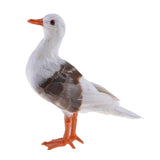 Maxbell 2Pc Simulated Seagull Artificial Bird Vivid Garden Home Decor Props Ornament