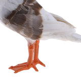 Maxbell 2Pc Simulated Seagull Artificial Bird Vivid Garden Home Decor Props Ornament