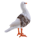 Maxbell 2Pcs Artificial Bird Feather Realistic Home Garden Decor Ornament Seagull