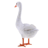 Maxbell Garden Decoration Artificial Simulated Swan Ornament Art Figurine Display #1 - Aladdin Shoppers