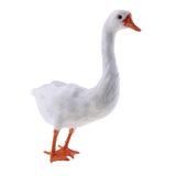 Maxbell Garden Decoration Artificial Simulated Swan Ornament Art Figurine Display #1 - Aladdin Shoppers