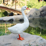 Maxbell Garden Decoration Artificial Simulated Swan Ornament Art Figurine Display #1 - Aladdin Shoppers