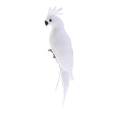 Maxbell 2x Realistic Parrot Artificial Feather Bird Animal Ornament White Yellow
