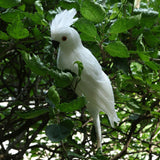 Maxbell 2x Realistic Parrot Artificial Feather Bird Animal Ornament White Yellow