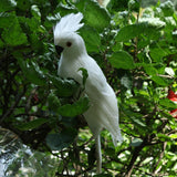 Maxbell 2x Realistic Parrot Artificial Feather Bird Animal Ornament White Yellow