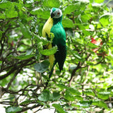 Maxbell 2x Handmade Parrot Garden Statue Macaw Figurines Landscape Ornament Props