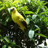 Maxbell 2x Realistic Parrot Artificial Feather Bird Animal Ornament White Yellow