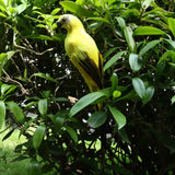 Maxbell 2x Realistic Parrot Artificial Feather Bird Animal Ornament White Yellow