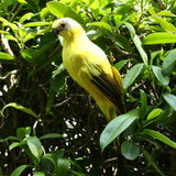 Maxbell 2x Realistic Parrot Artificial Feather Bird Animal Ornament White Yellow