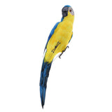 Maxbell 2pcs Artificial Parrot Bird Realistic Home Decor Budgie Taxidermy