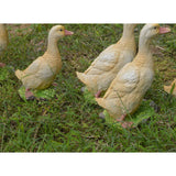 Maxbell 2pcs Garden Gift Farm Resin Animal Ornament Pond Water Standing Duck Yellow