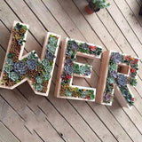 Maxbell Iron Wire Wreath Frame Succulent Pot Metal Planter Plant Holder Art Number 2 - Aladdin Shoppers