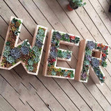Maxbell Iron Wire Wreath Frame Succulent Pot Metal Planter Plant Holder Art Number 9 - Aladdin Shoppers