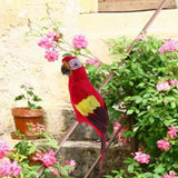 Maxbell 2pcs Feathered Artificial Macaw Bird Home Garden Decor Parrot Green&Red