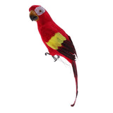 Maxbell Blue & Red Bird Feather Realistic Home Garden Decor Ornament Parrot Bird