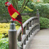 Maxbell 2pcs Feathered Artificial Macaw Bird Home Garden Decor Parrot Green&Red