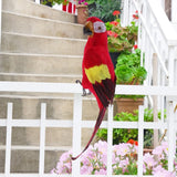 Maxbell Blue & Red Bird Feather Realistic Home Garden Decor Ornament Parrot Bird