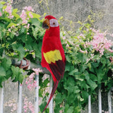 Maxbell 2pcs Feathered Artificial Macaw Bird Home Garden Decor Parrot Green&Red