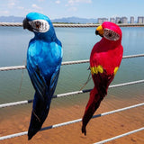 Maxbell Blue & Red Bird Feather Realistic Home Garden Decor Ornament Parrot Bird