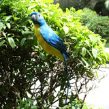 Maxbell Blue & Red Bird Feather Realistic Home Garden Decor Ornament Parrot Bird