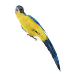 Maxbell Blue & Red Bird Feather Realistic Home Garden Decor Ornament Parrot Bird