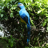 Maxbell Blue & Red Bird Feather Realistic Home Garden Decor Ornament Parrot Bird