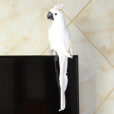 Maxbell 2pcs Artificial Parrot Bird Realistic Home Decor Budgie Taxidermy