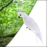 Maxbell 2pcs Artificial Parrot Bird Realistic Home Decor Budgie Taxidermy