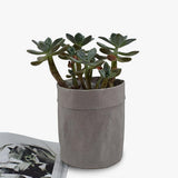 Maxbell Succulent Kraft Paper Flower Pot Cover Washable Storage Bags L Grey - Aladdin Shoppers
