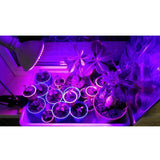 Maxbell LED Grow Light Bub Fruit Flower Plant Grow Lamp for Indoor Plants 1 - Aladdin Shoppers