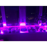 Maxbell LED Grow Light Bub Fruit Flower Plant Grow Lamp for Indoor Plants 1 - Aladdin Shoppers