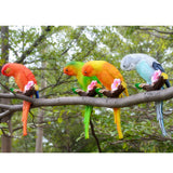 Maxbell 3Pcs Resin Parrots Budgerigar Birds Animals Ornaments Hanging Decorations