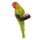 Maxbell 3Pcs Resin Parrots Budgerigar Birds Animals Ornaments Hanging Decorations