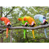 Maxbell 3Pcs Resin Parrots Budgerigar Birds Animals Ornaments Hanging Decorations