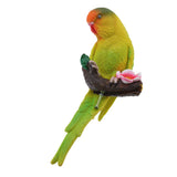Maxbell 3Pcs Resin Parrots Budgerigar Birds Animals Ornaments Hanging Decorations