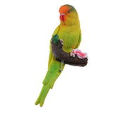 Maxbell 3Pcs Resin Parrots Budgerigar Birds Animals Ornaments Hanging Decorations
